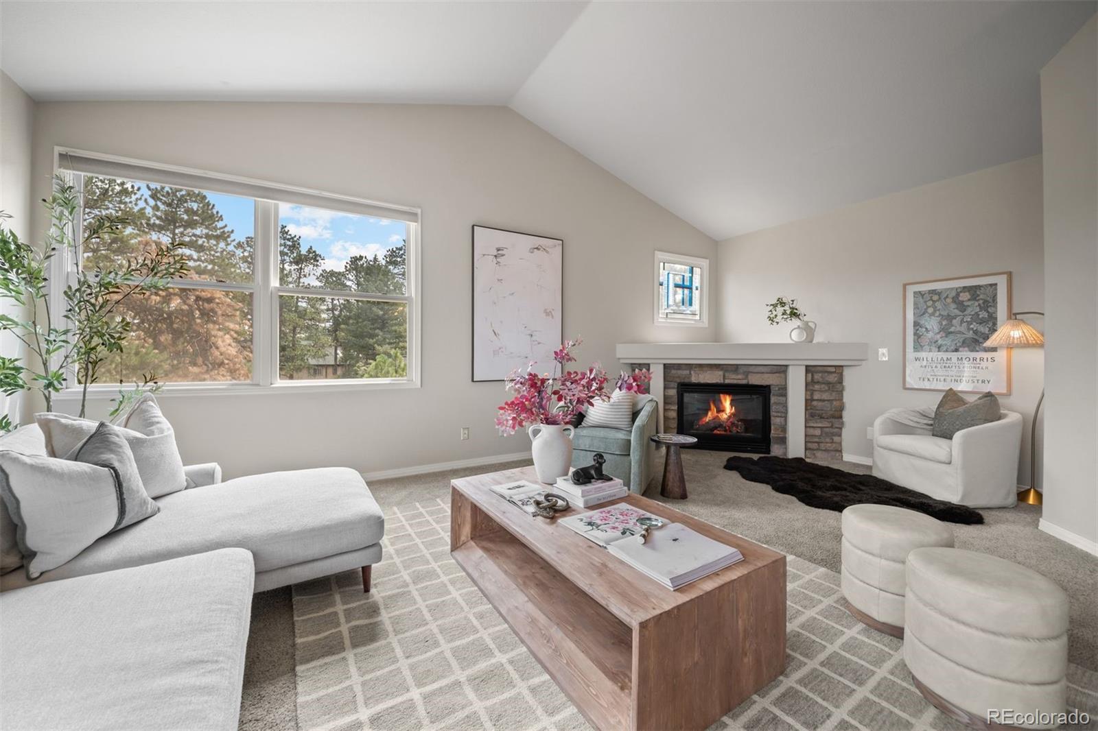 MLS Image #10 for 3046  sun creek ridge,evergreen, Colorado