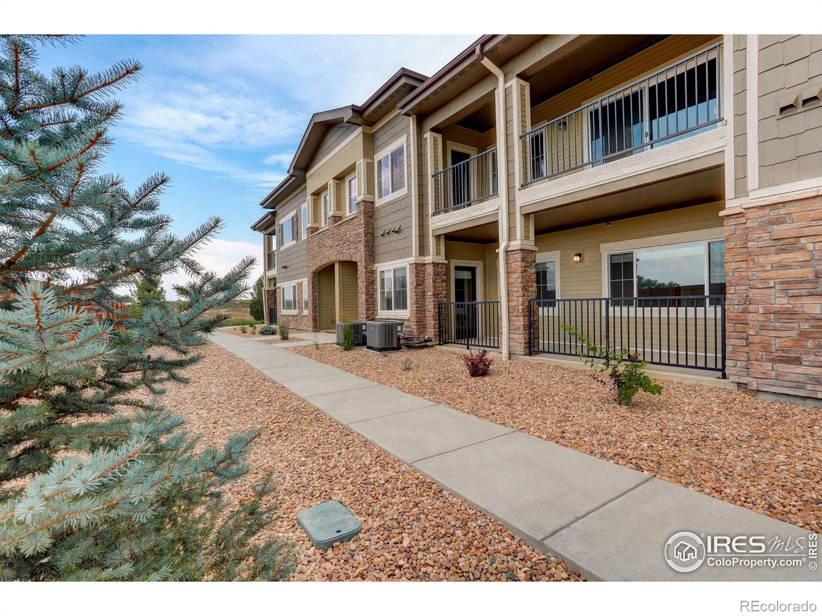 MLS Image #4 for 2435  calais drive,longmont, Colorado