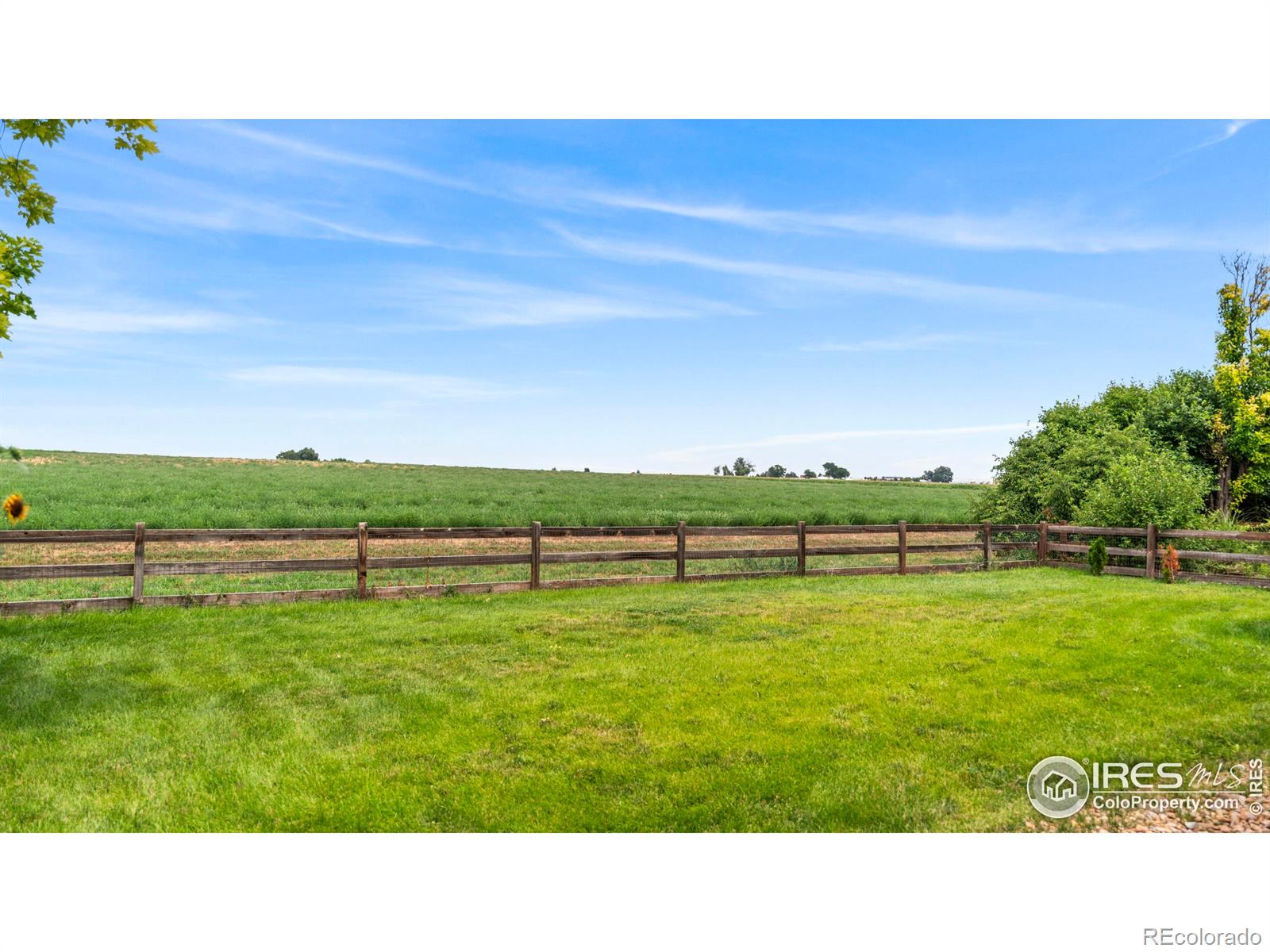 MLS Image #37 for 4313  onyx place,johnstown, Colorado
