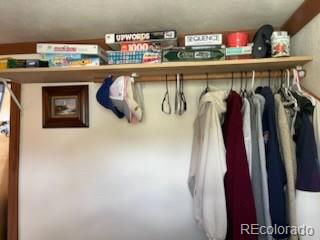 MLS Image #10 for 148  loch leven drive,lake george, Colorado