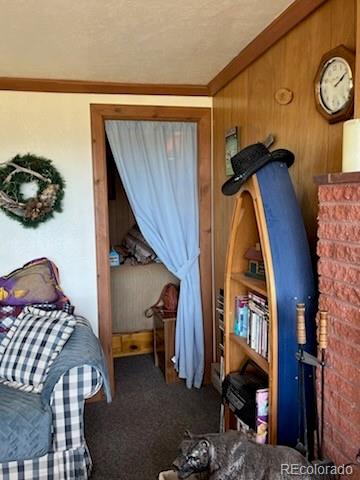 MLS Image #16 for 148  loch leven drive,lake george, Colorado
