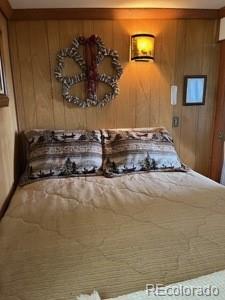 MLS Image #17 for 148  loch leven drive,lake george, Colorado