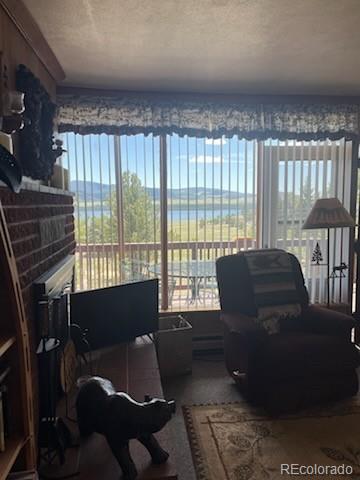MLS Image #22 for 148  loch leven drive,lake george, Colorado
