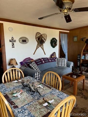 MLS Image #4 for 148  loch leven drive,lake george, Colorado