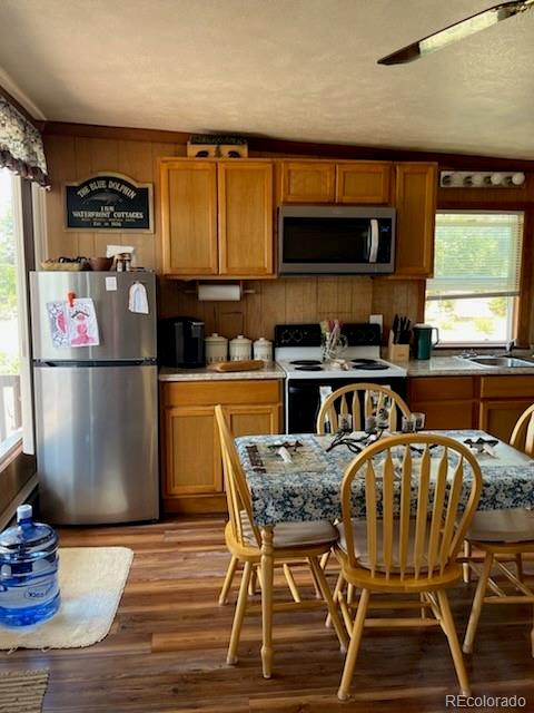 MLS Image #5 for 148  loch leven drive,lake george, Colorado