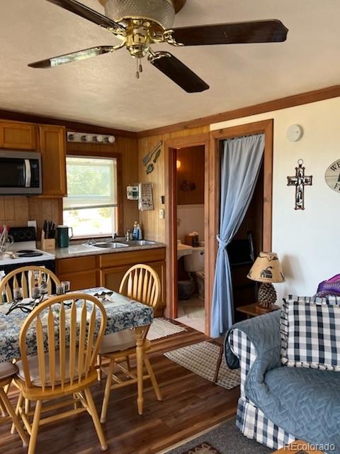 MLS Image #6 for 148  loch leven drive,lake george, Colorado