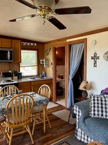 MLS Image #7 for 148  loch leven drive,lake george, Colorado