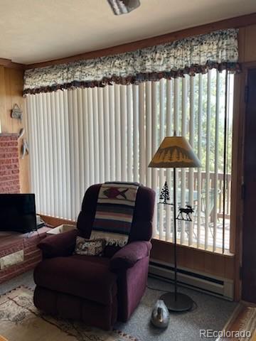 MLS Image #9 for 148  loch leven drive,lake george, Colorado