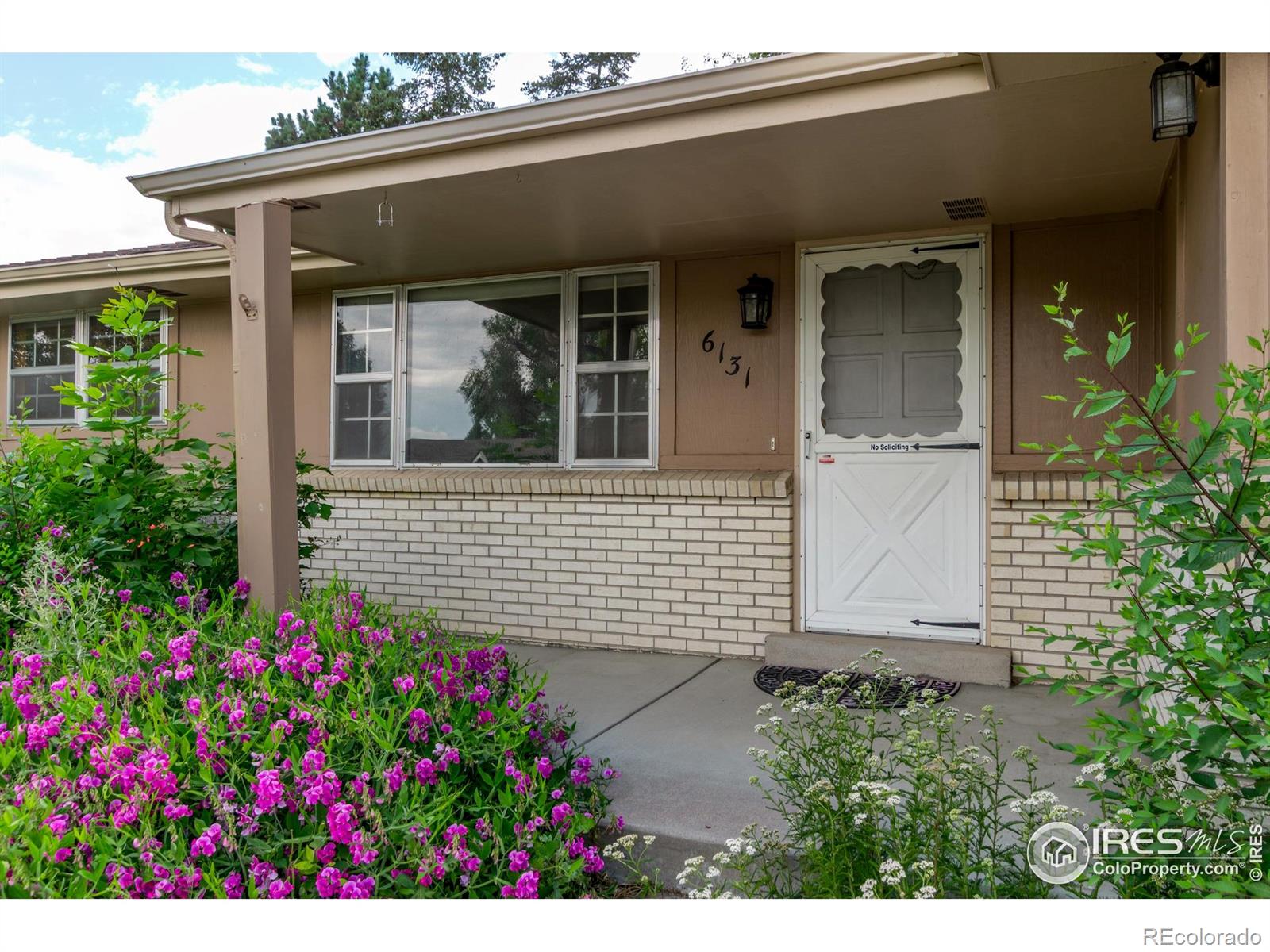MLS Image #1 for 6131  wolff street,arvada, Colorado