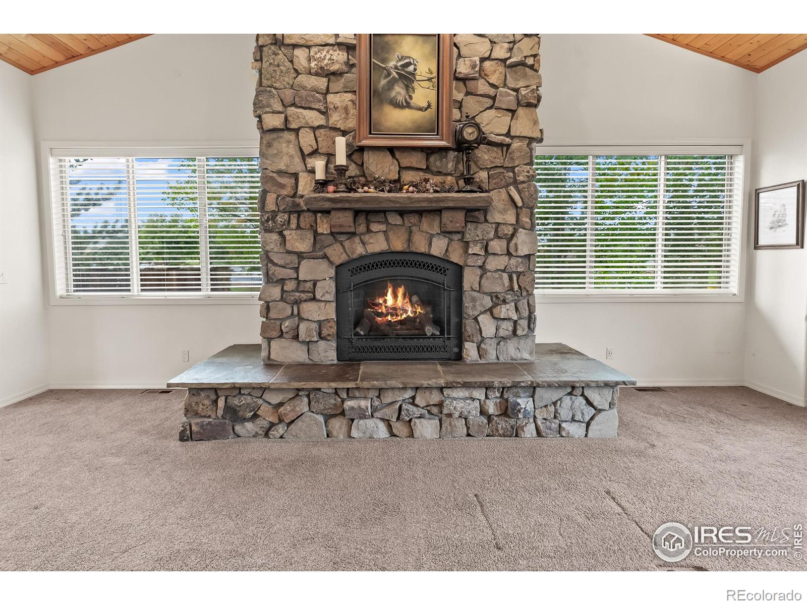 MLS Image #13 for 6825  apache road,loveland, Colorado