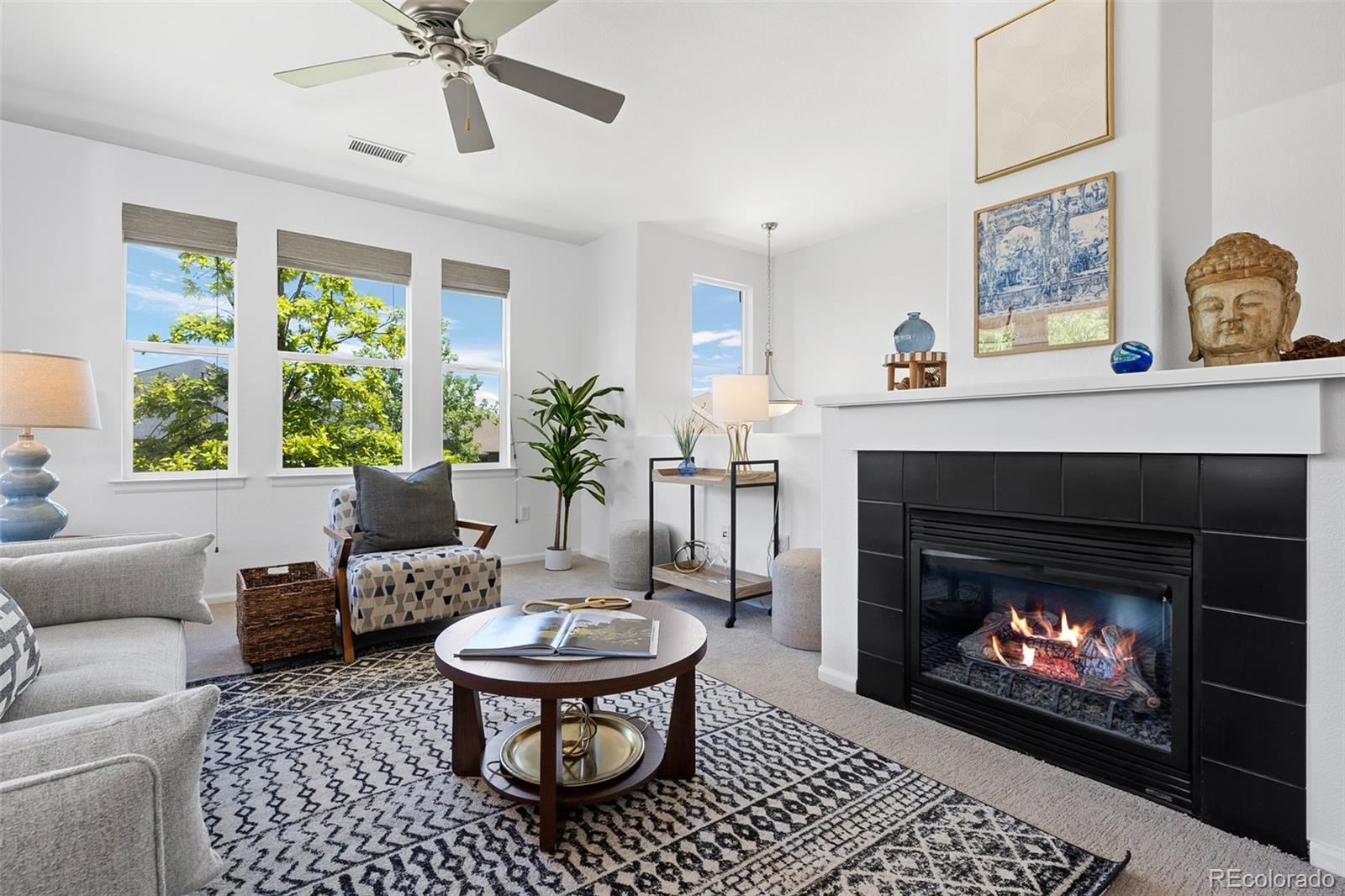 MLS Image #6 for 9599  cedarhurst lane,highlands ranch, Colorado