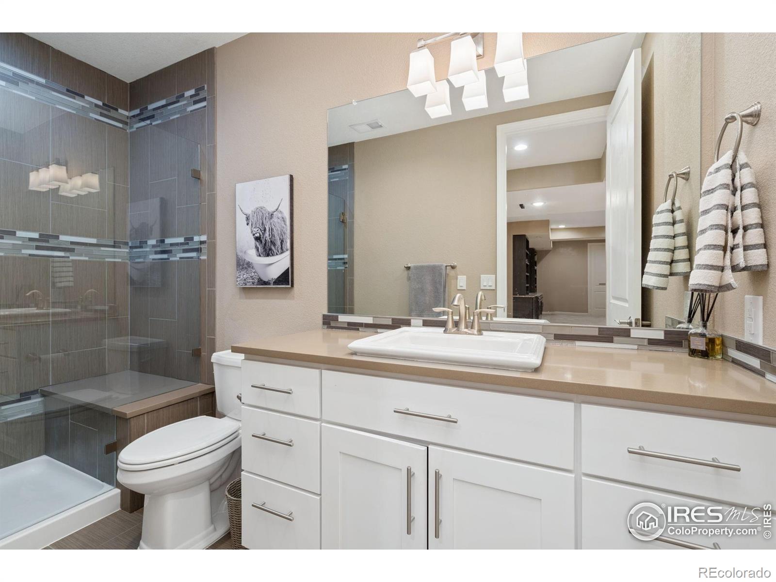 MLS Image #20 for 8541  allenbrook drive,windsor, Colorado