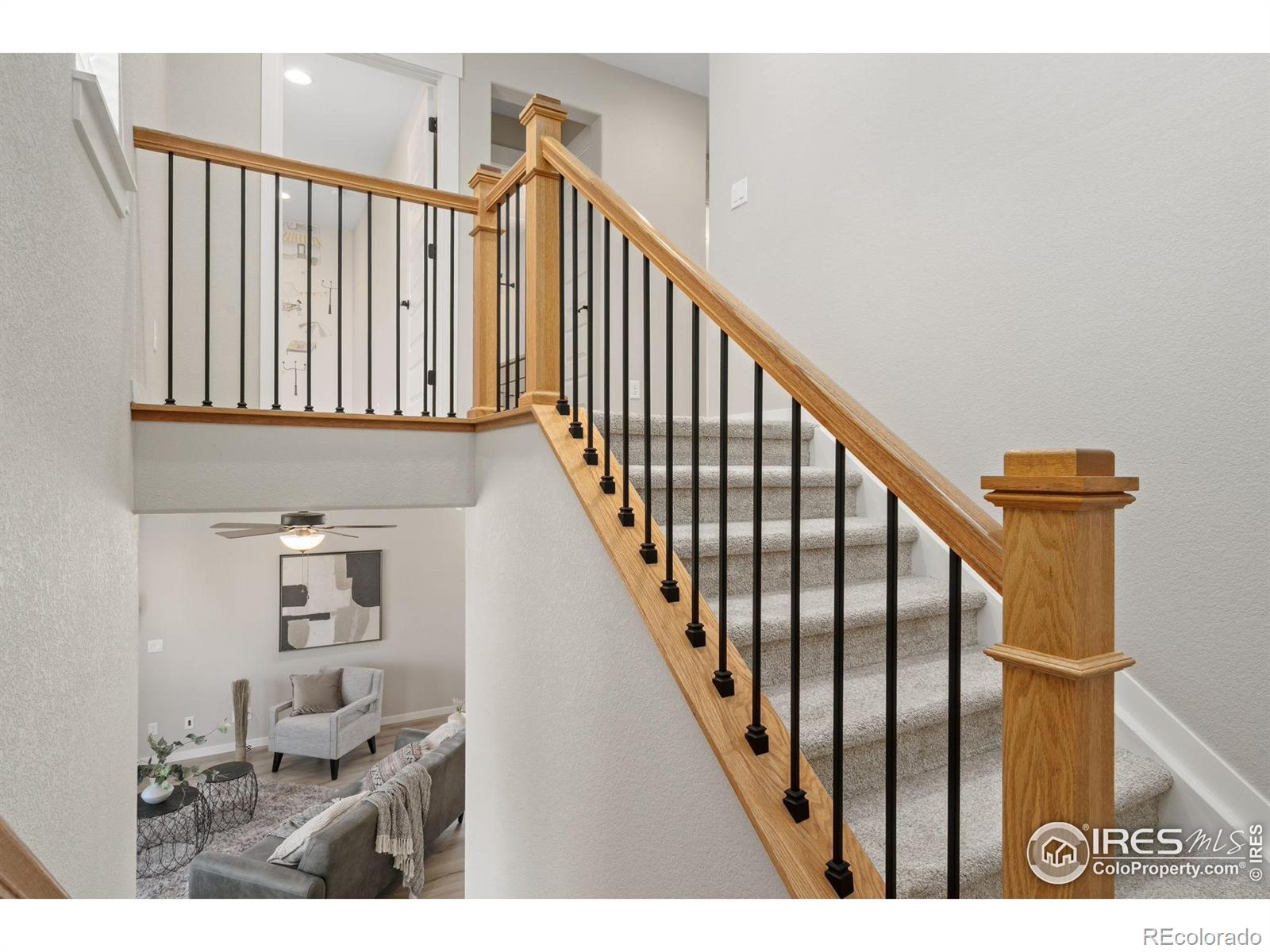 MLS Image #22 for 2124  glean court,windsor, Colorado
