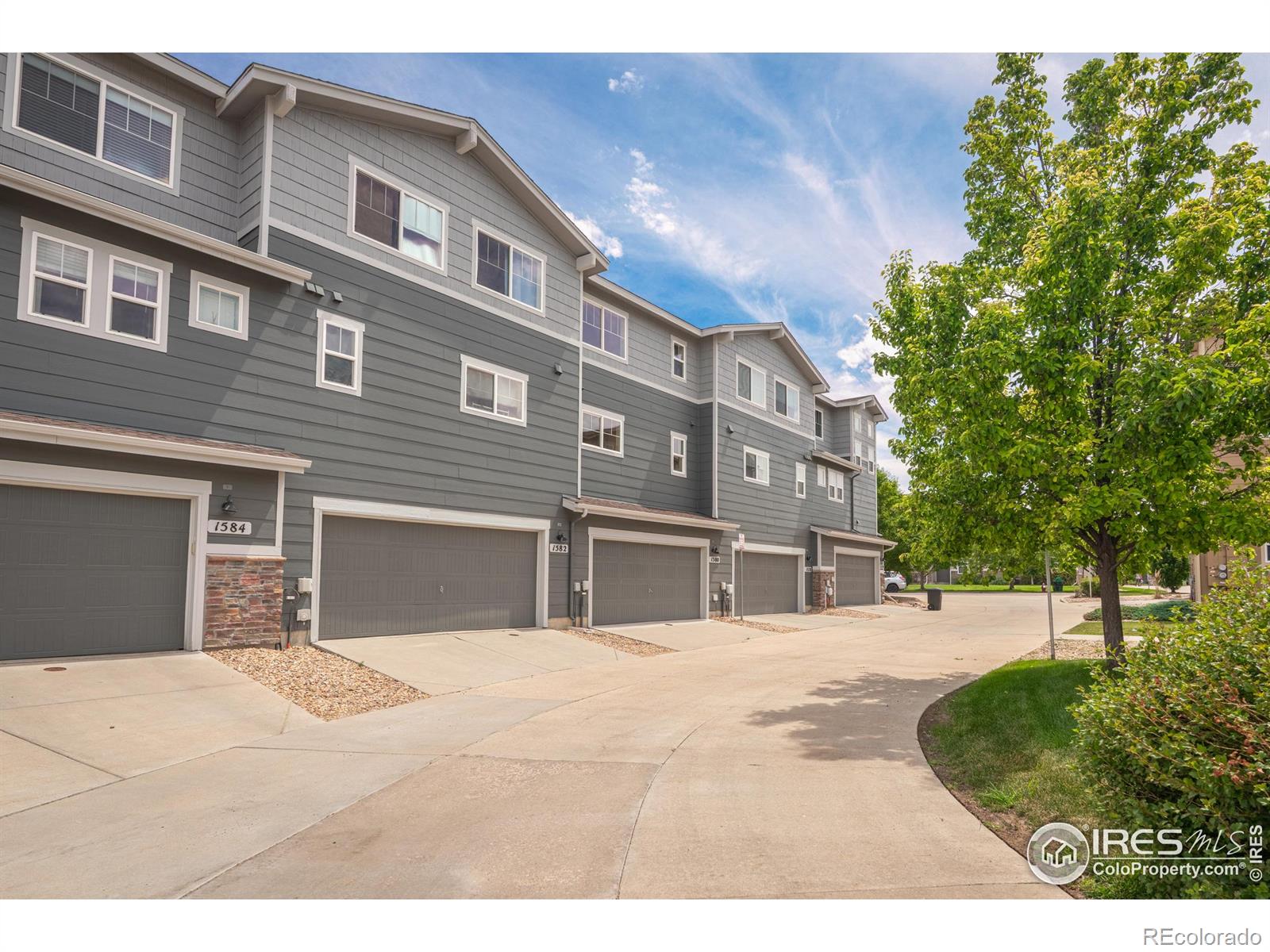 MLS Image #24 for 1580  venice lane,longmont, Colorado
