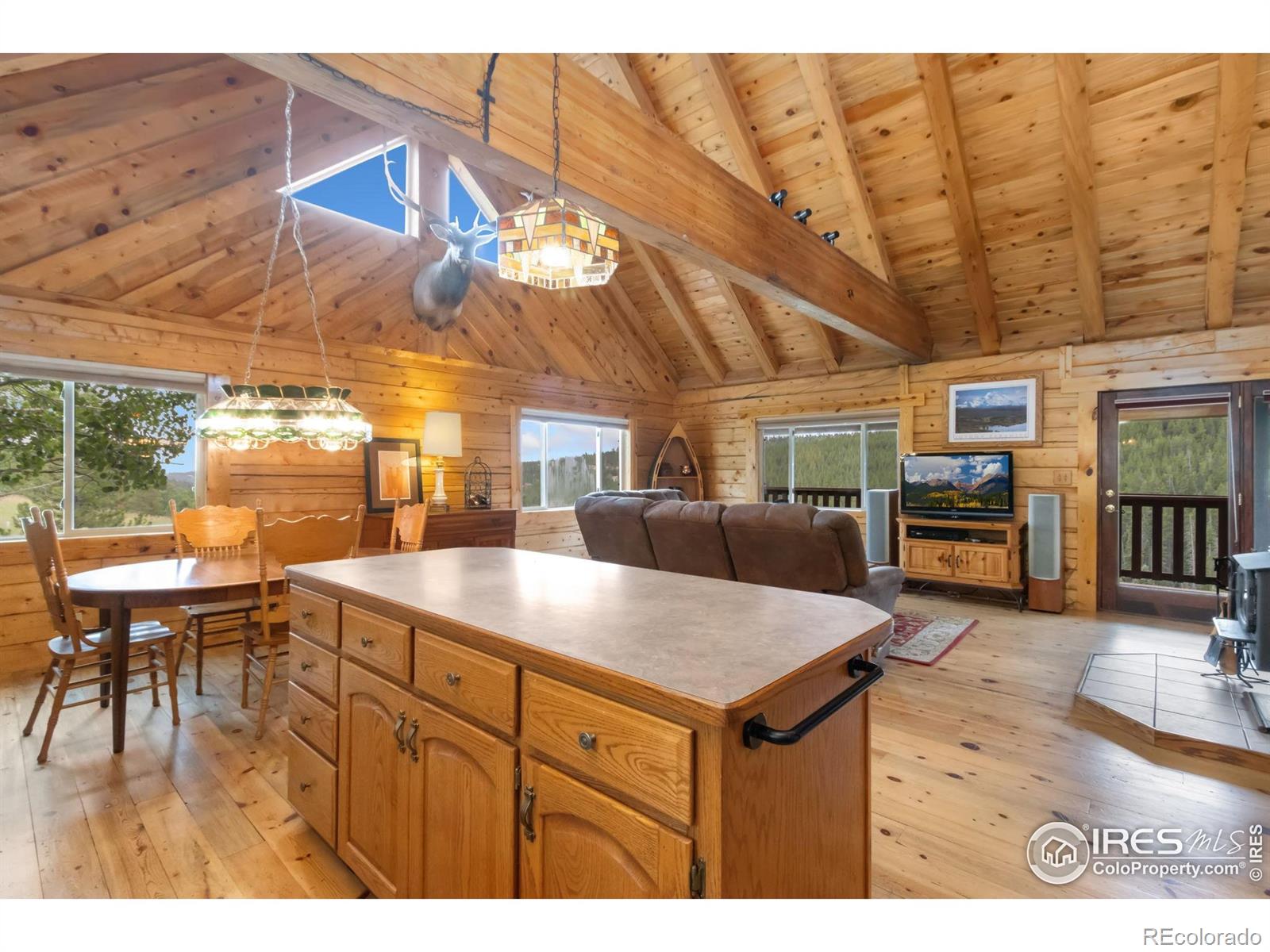MLS Image #11 for 3706  ottawa way,red feather lakes, Colorado