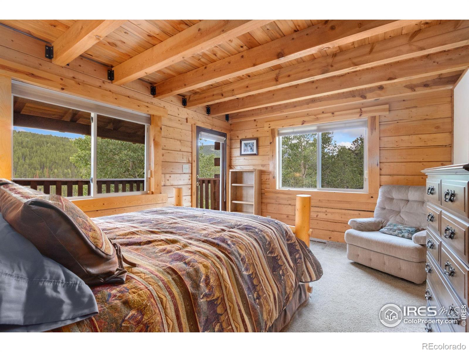 MLS Image #14 for 3706  ottawa way,red feather lakes, Colorado