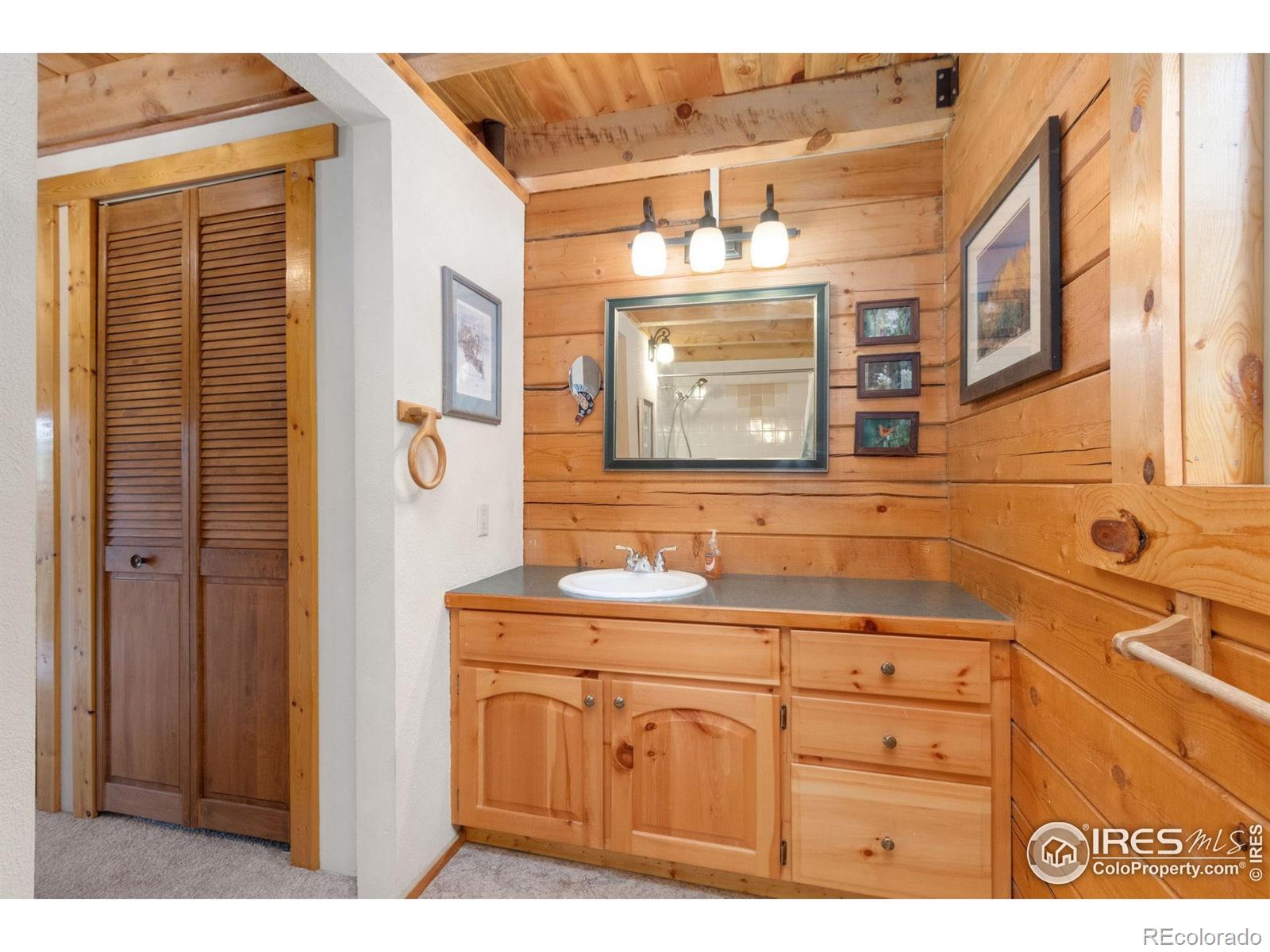 MLS Image #15 for 3706  ottawa way,red feather lakes, Colorado