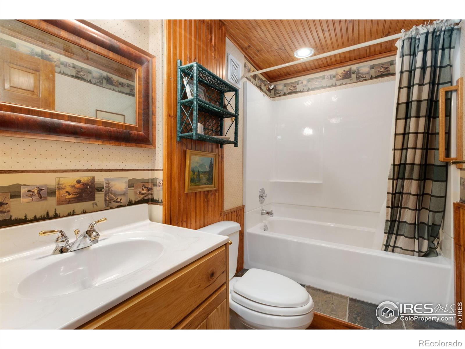 MLS Image #22 for 3706  ottawa way,red feather lakes, Colorado