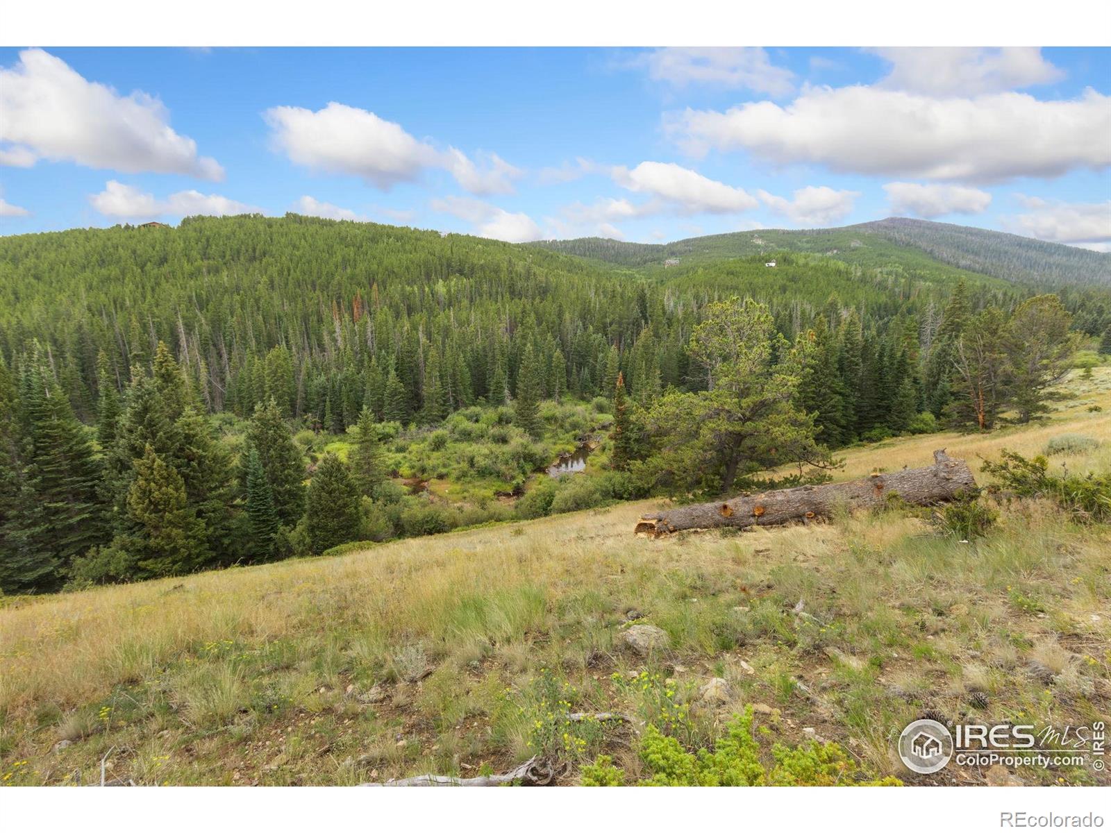 MLS Image #25 for 3706  ottawa way,red feather lakes, Colorado