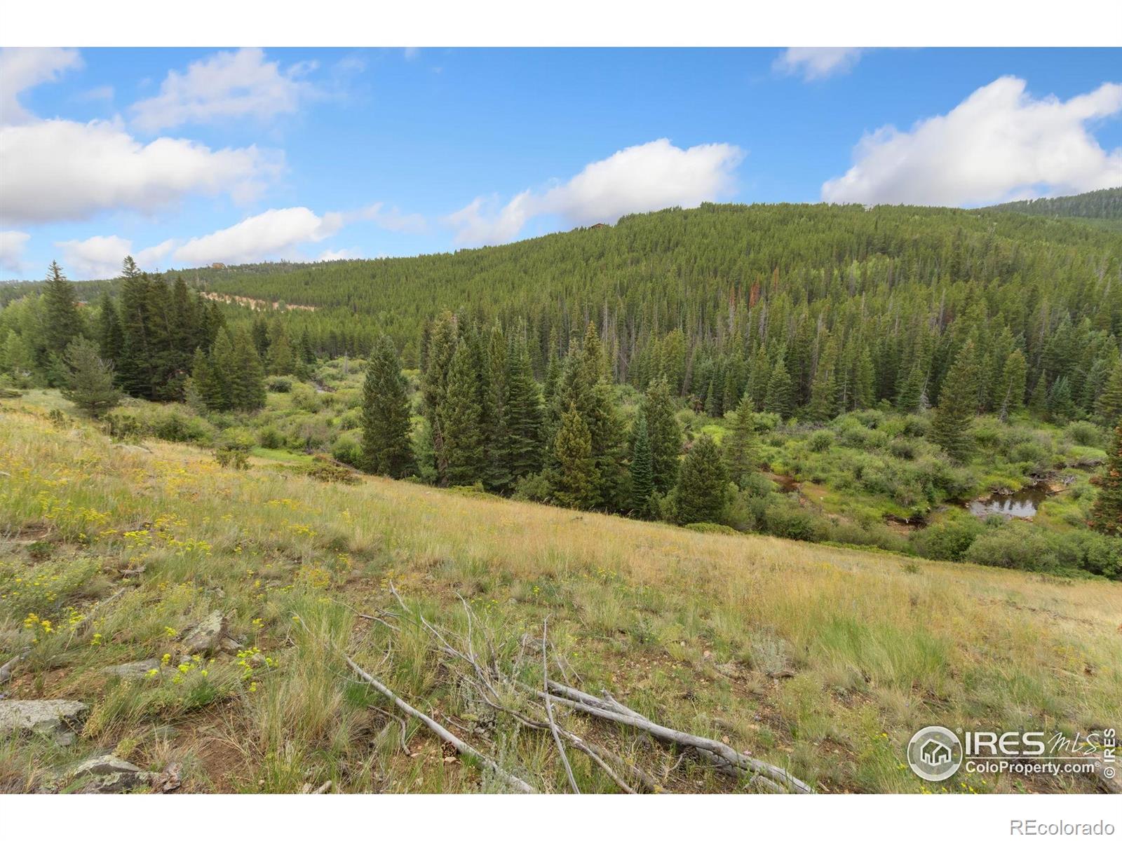 MLS Image #26 for 3706  ottawa way,red feather lakes, Colorado