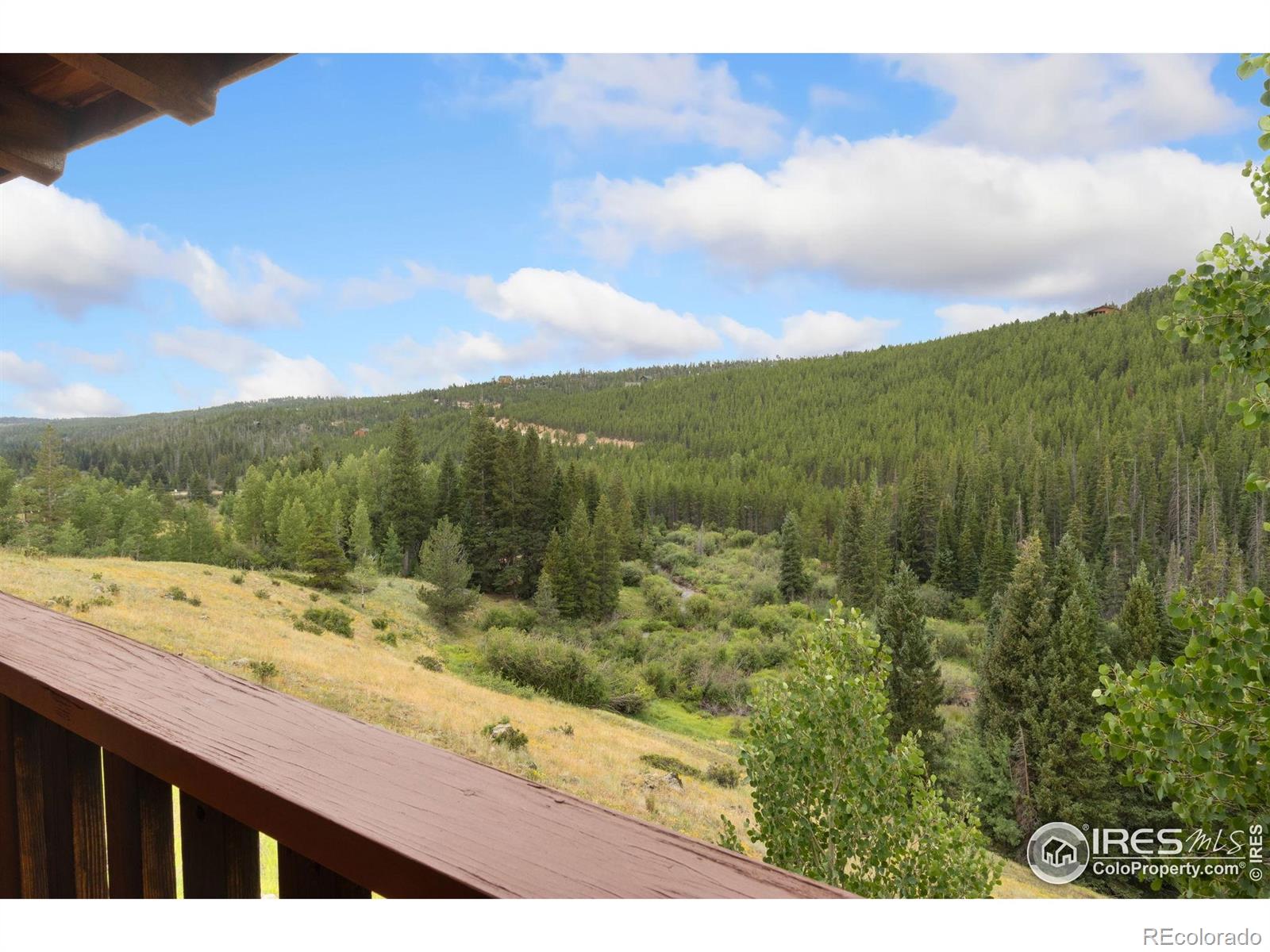MLS Image #28 for 3706  ottawa way,red feather lakes, Colorado