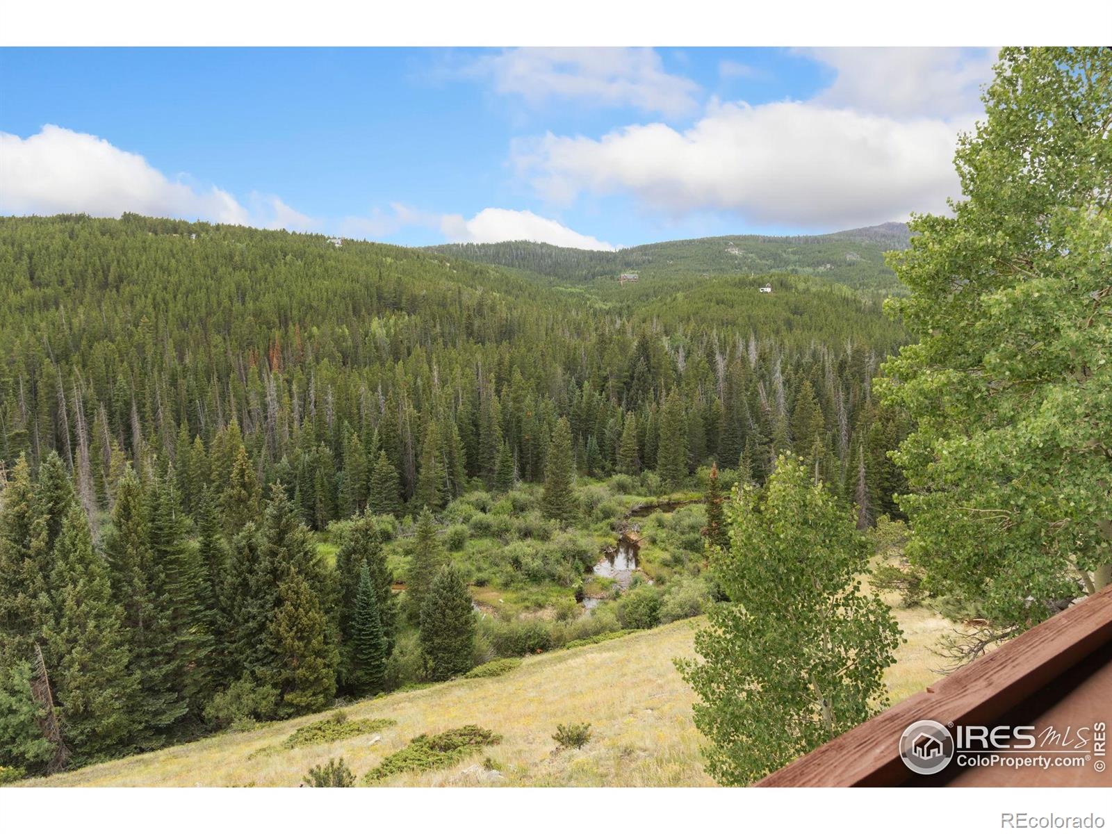 MLS Image #29 for 3706  ottawa way,red feather lakes, Colorado