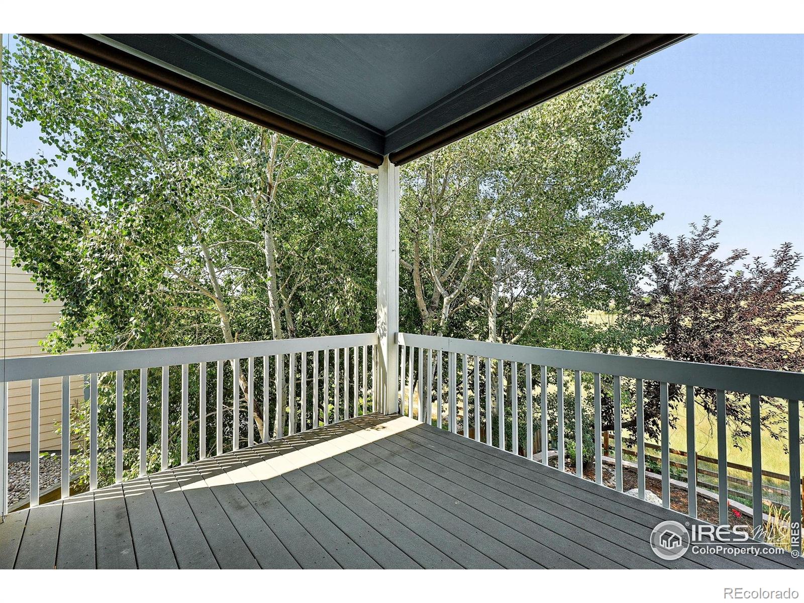 MLS Image #16 for 1424  clayton way,erie, Colorado