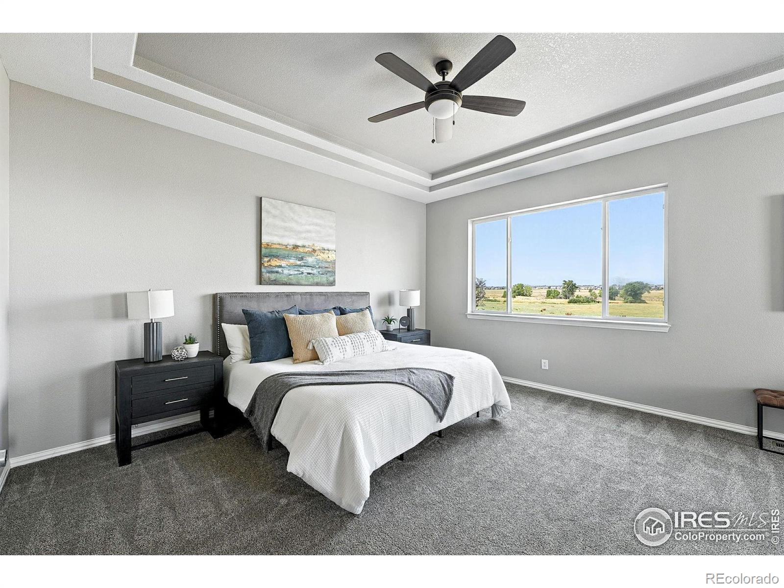 MLS Image #22 for 1424  clayton way,erie, Colorado