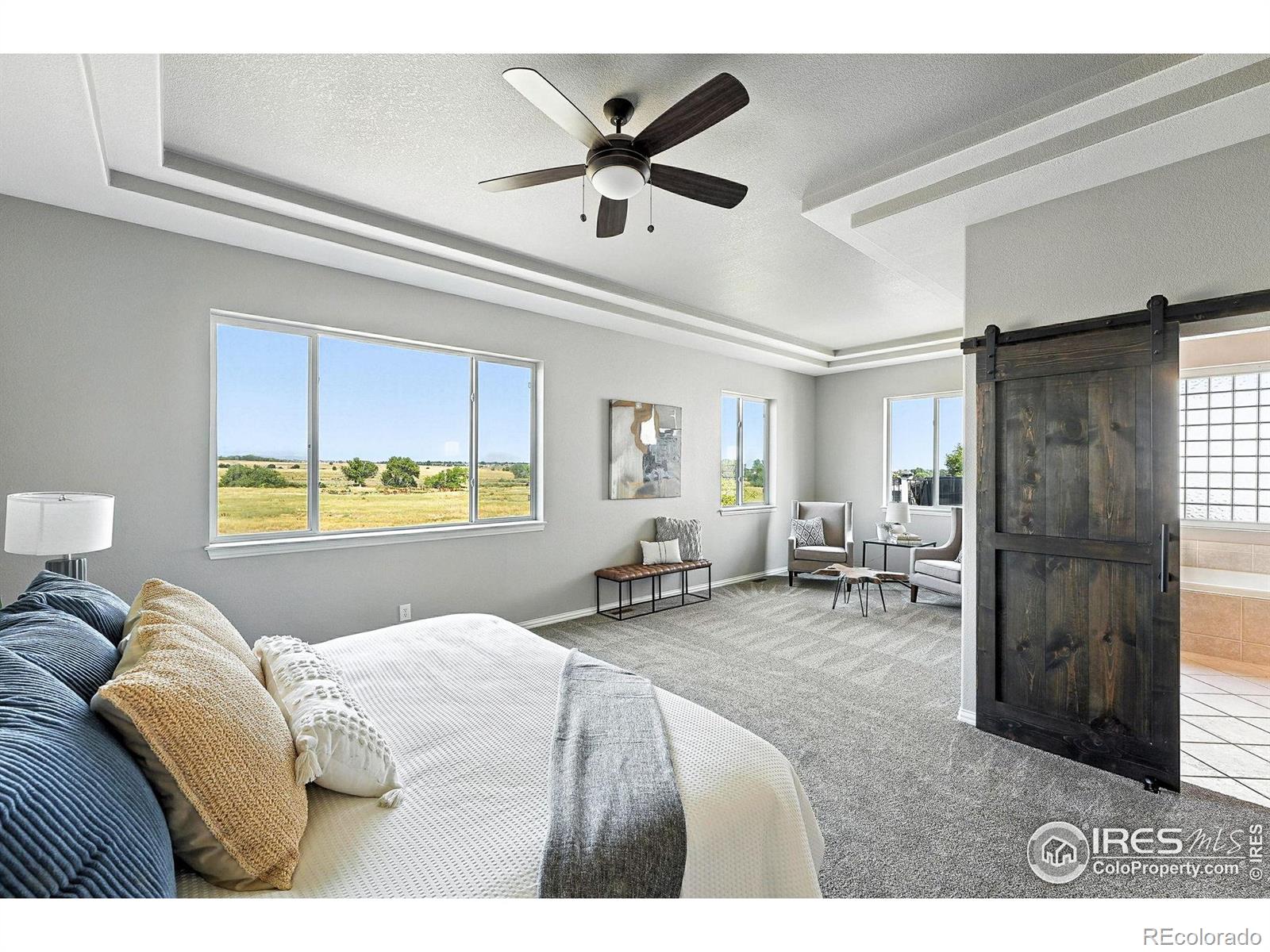 MLS Image #23 for 1424  clayton way,erie, Colorado
