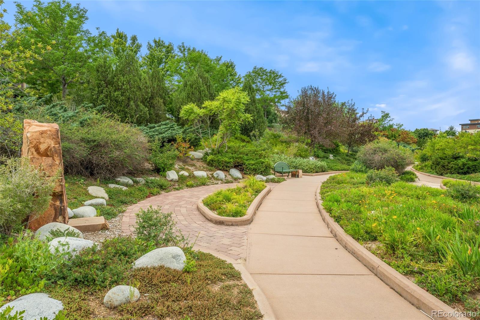 MLS Image #30 for 804  rockhurst drive,highlands ranch, Colorado