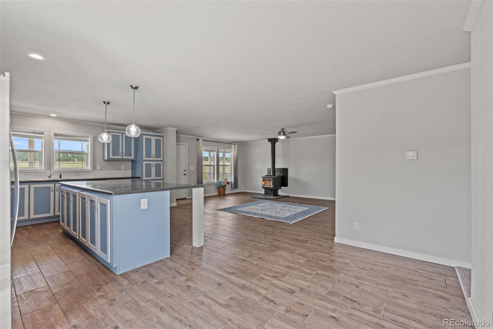 MLS Image #19 for 567  high pasture road,florissant, Colorado