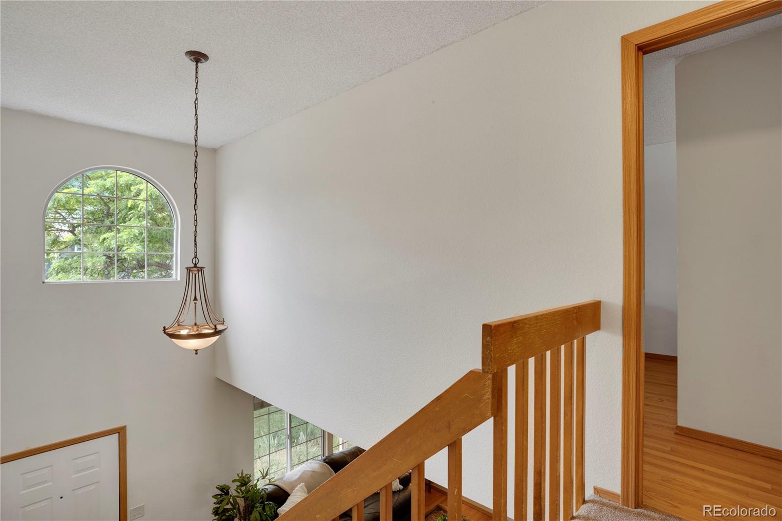 MLS Image #13 for 283  saddlewood circle,highlands ranch, Colorado