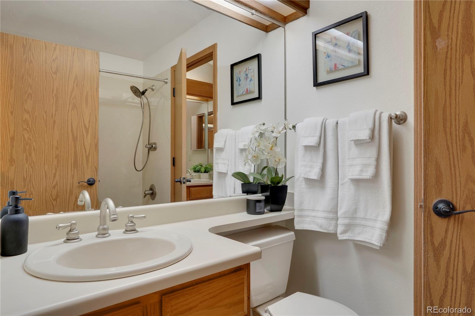 MLS Image #19 for 283  saddlewood circle,highlands ranch, Colorado