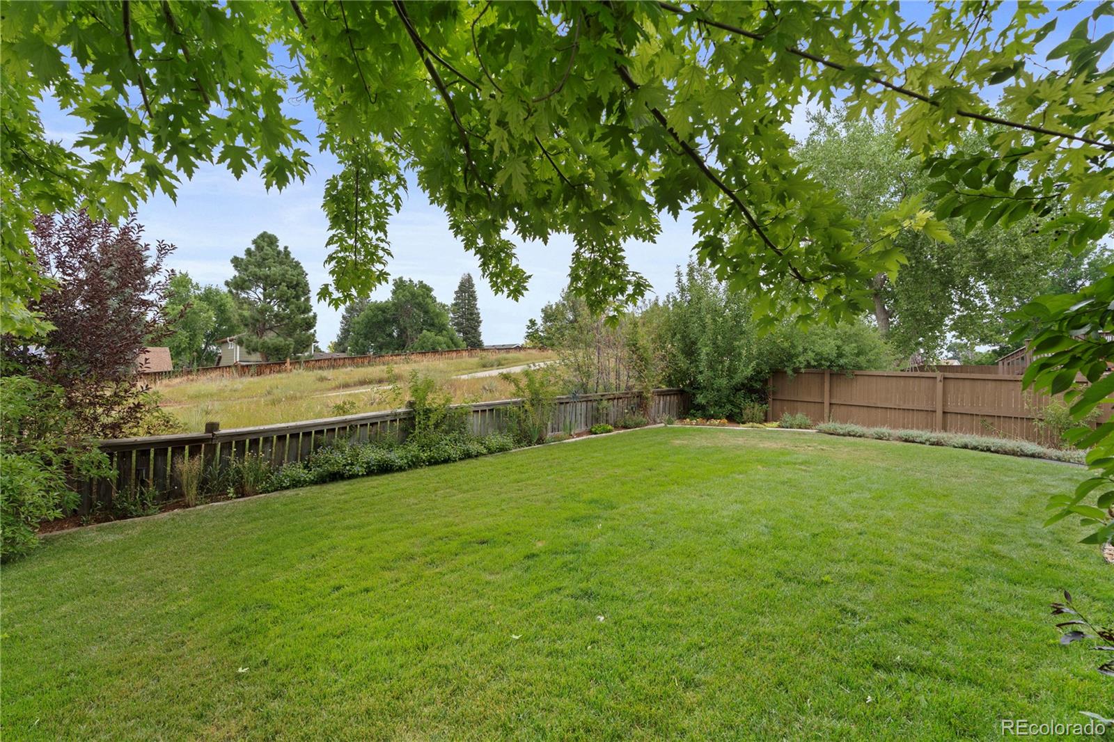 MLS Image #33 for 283  saddlewood circle,highlands ranch, Colorado