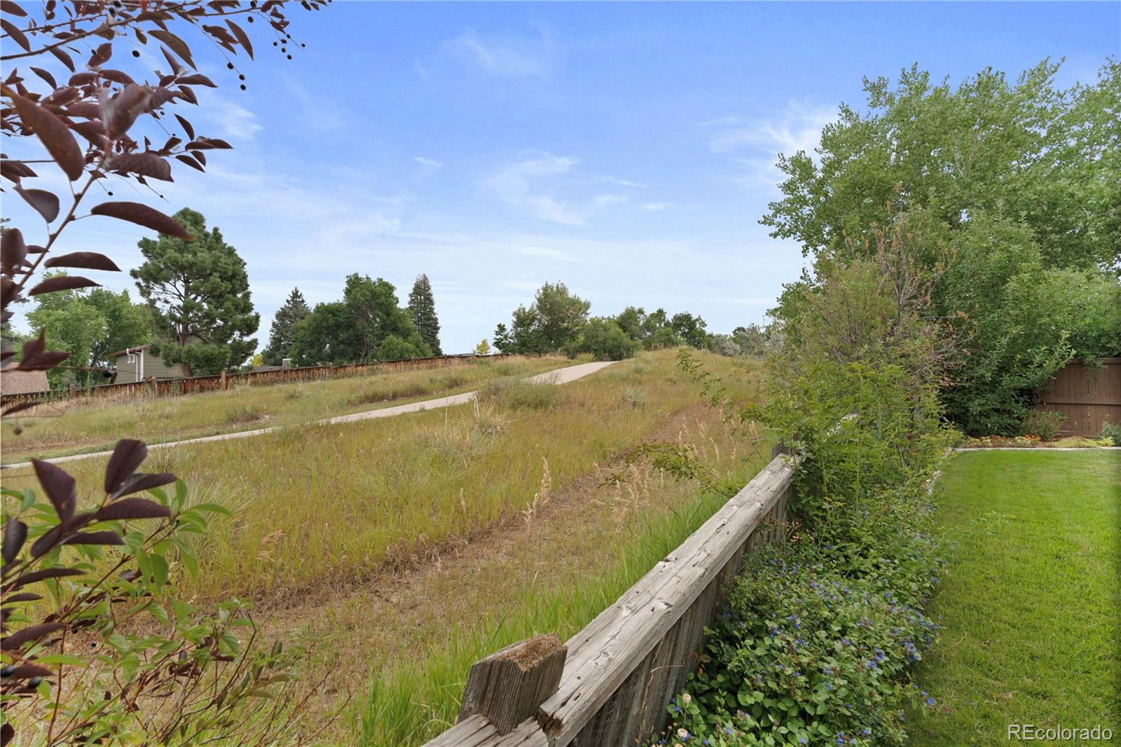 MLS Image #34 for 283  saddlewood circle,highlands ranch, Colorado