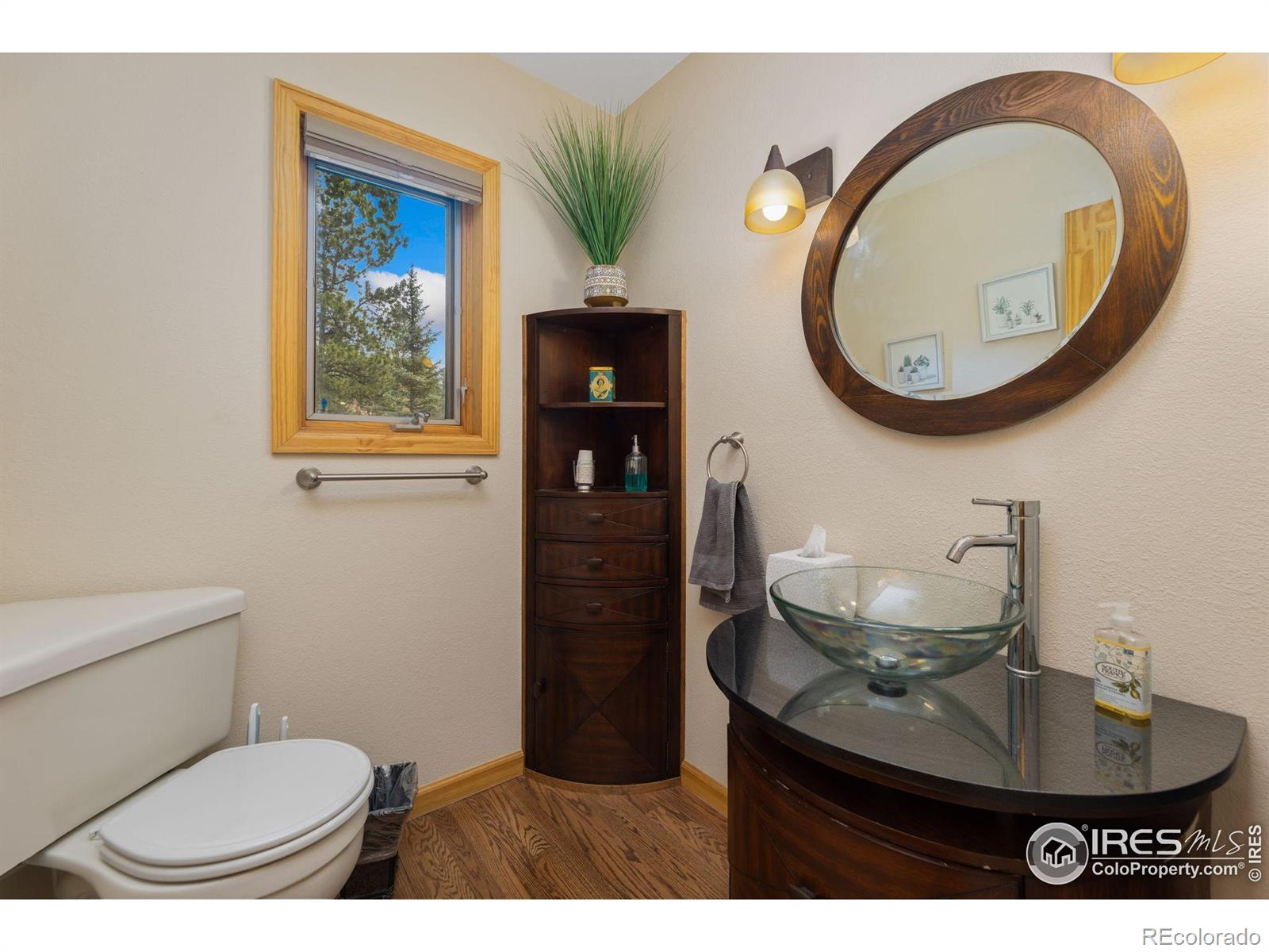 MLS Image #12 for 269  steamer court,estes park, Colorado