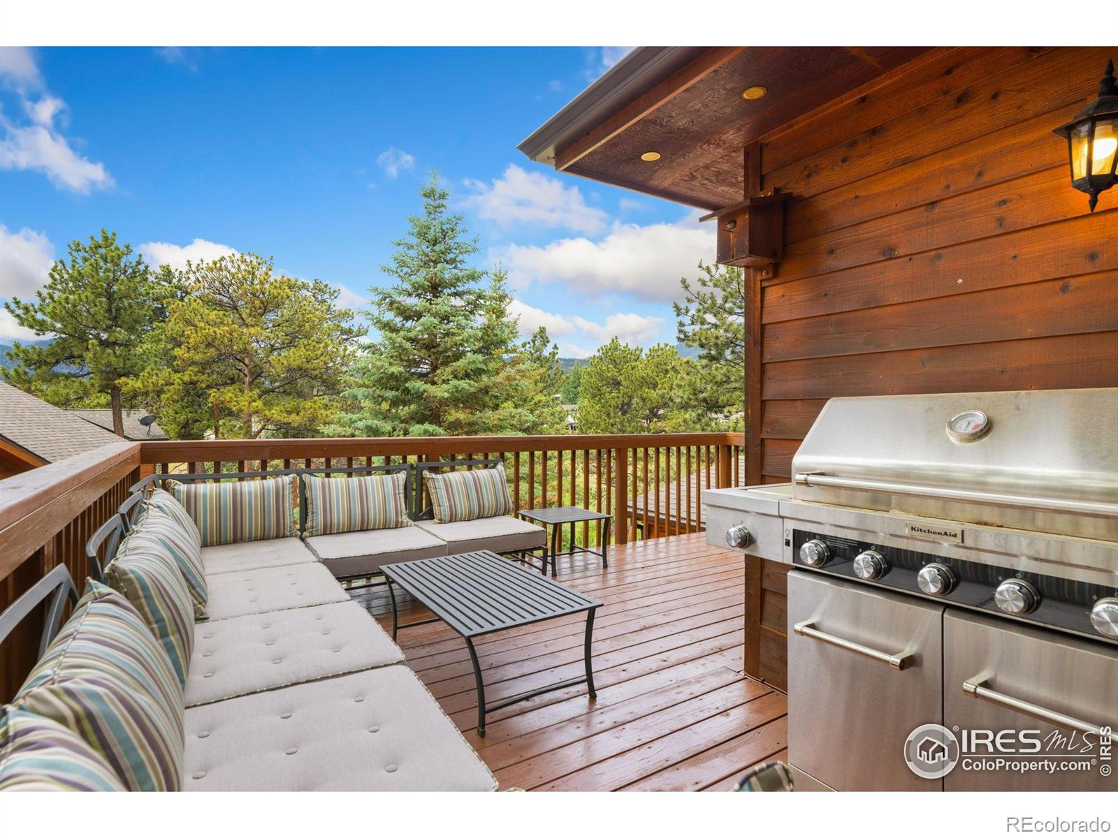 MLS Image #19 for 269  steamer court,estes park, Colorado