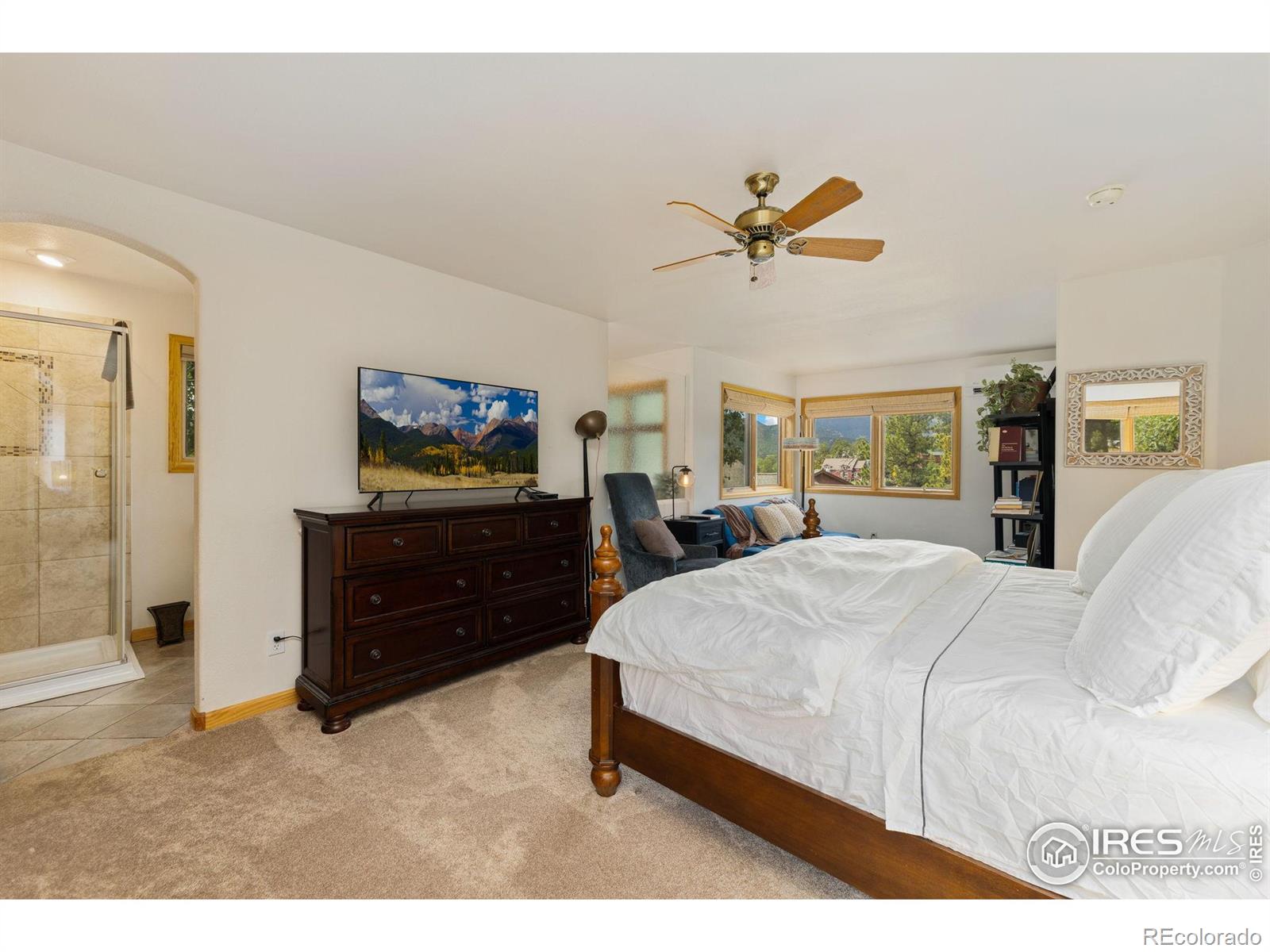 MLS Image #20 for 269  steamer court,estes park, Colorado