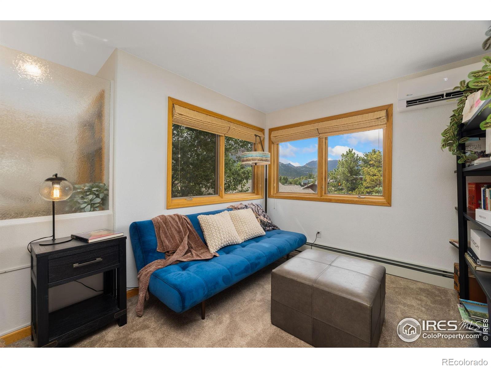 MLS Image #22 for 269  steamer court,estes park, Colorado