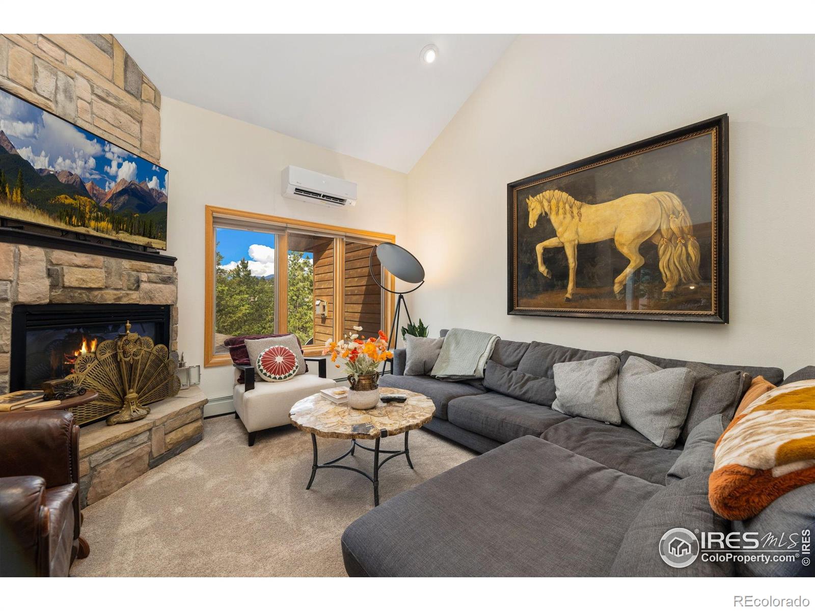 MLS Image #6 for 269  steamer court,estes park, Colorado