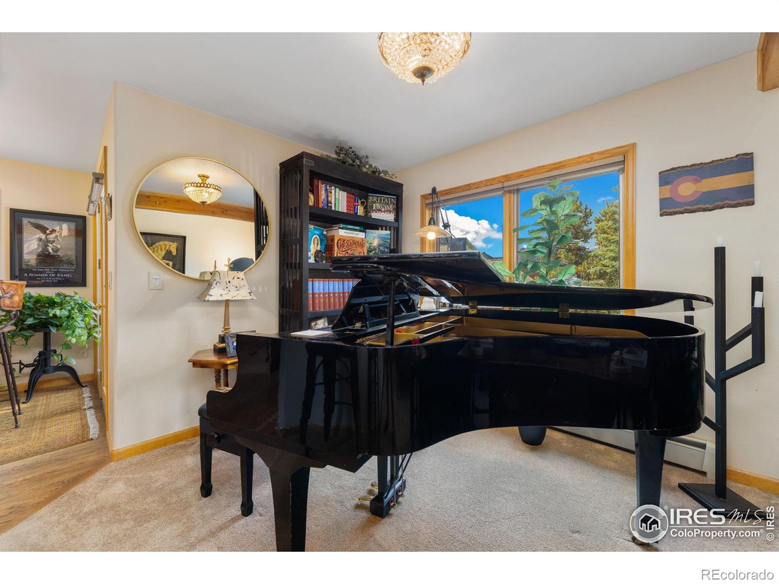 MLS Image #8 for 269  steamer court,estes park, Colorado