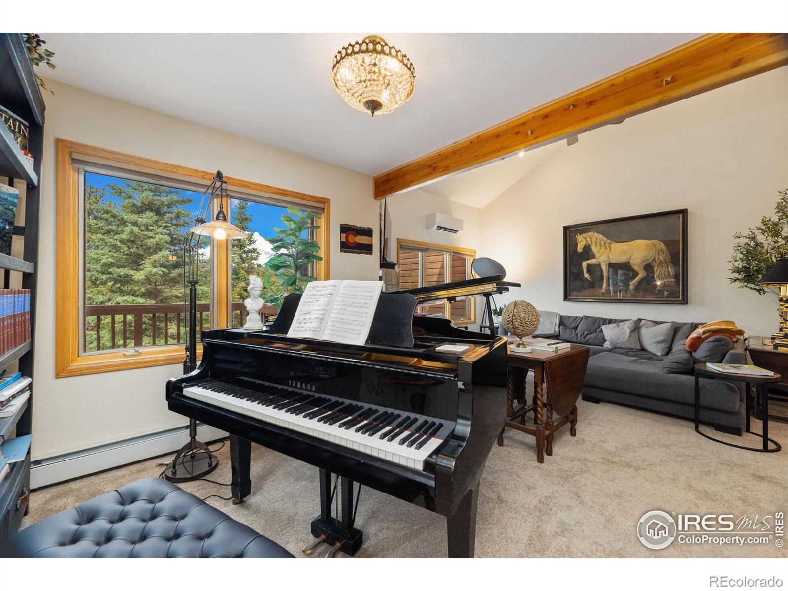 MLS Image #9 for 269  steamer court,estes park, Colorado