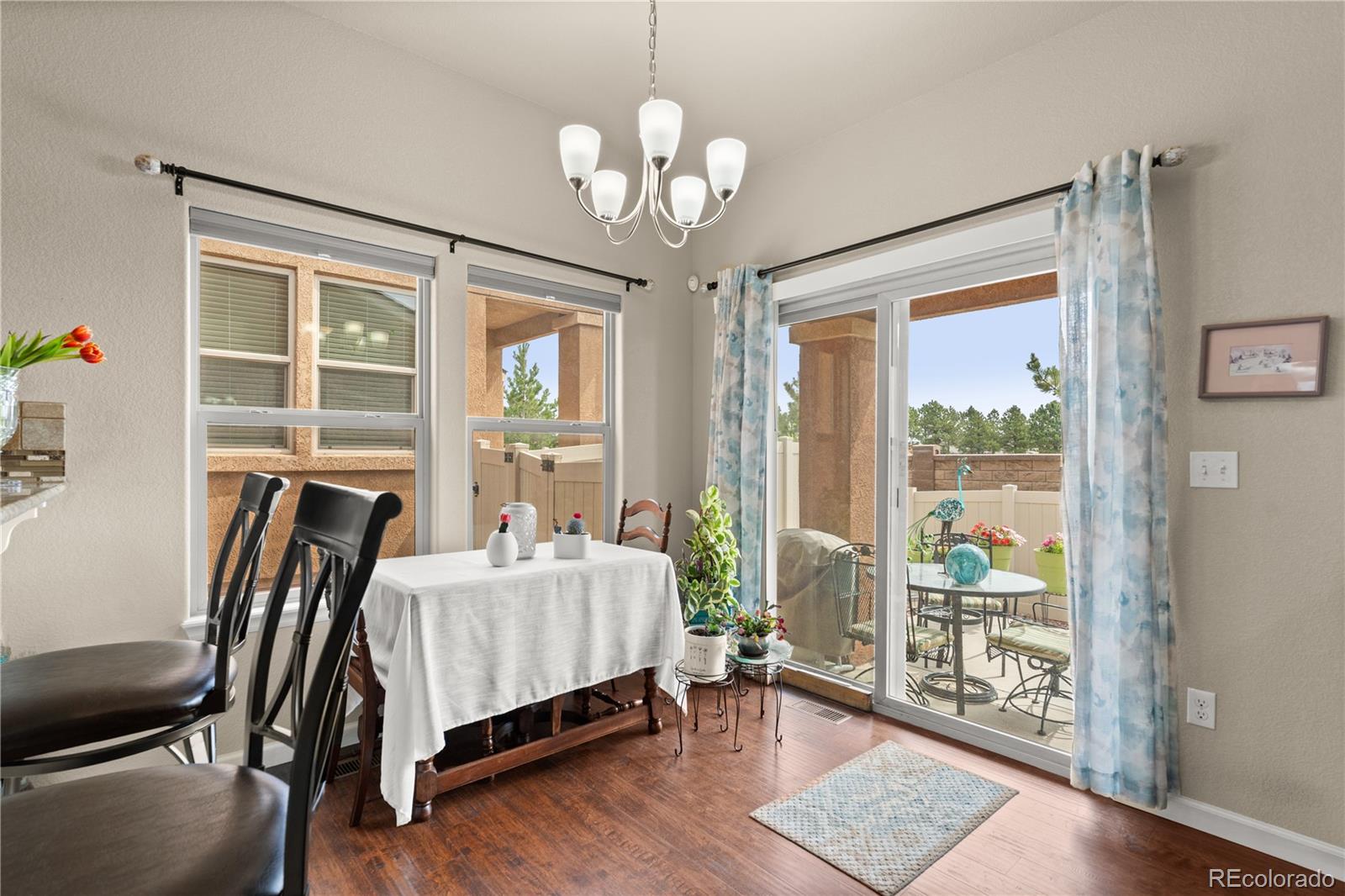 MLS Image #8 for 8311  potentilla grove,colorado springs, Colorado