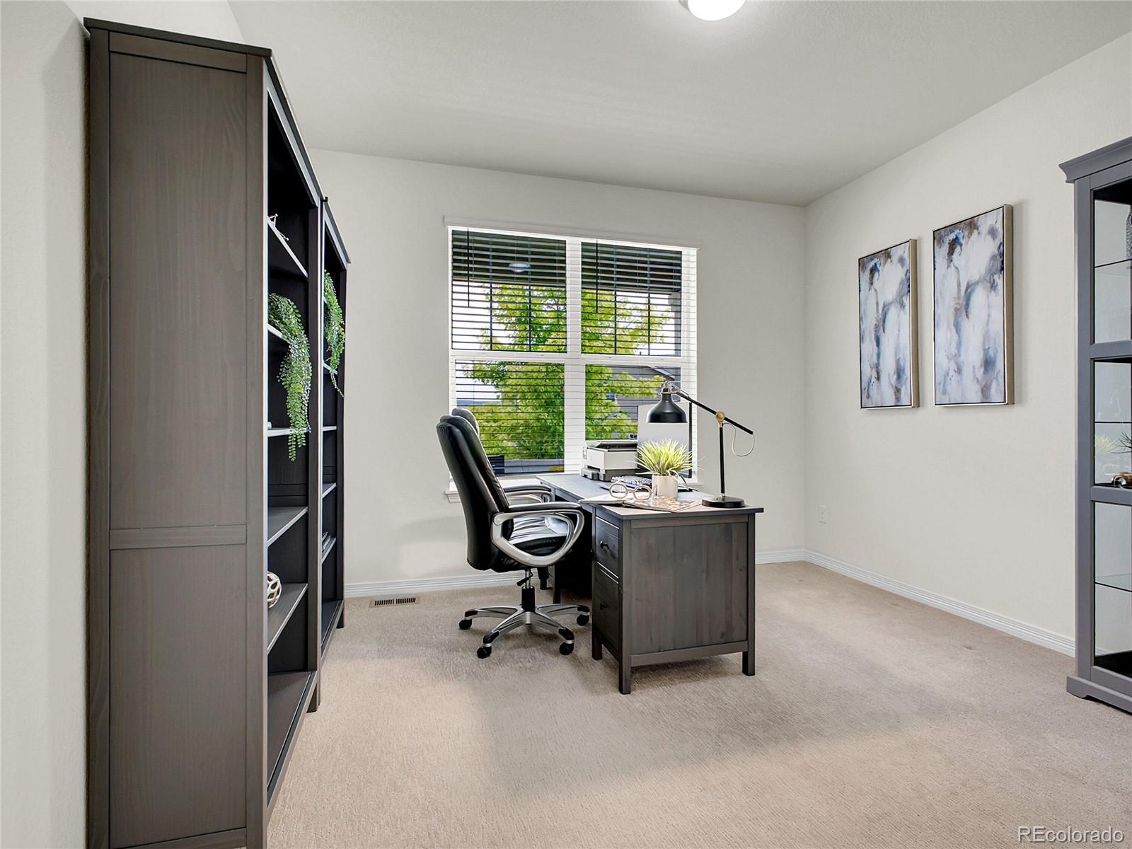 MLS Image #24 for 14861  chicago street,parker, Colorado