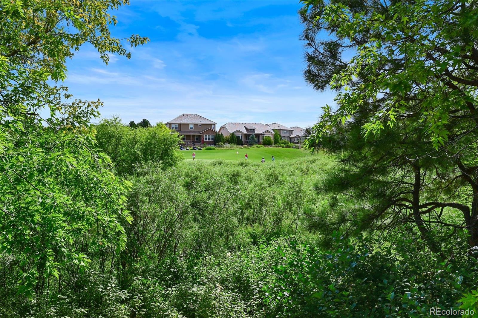 MLS Image #42 for 22199 e costilla drive,aurora, Colorado