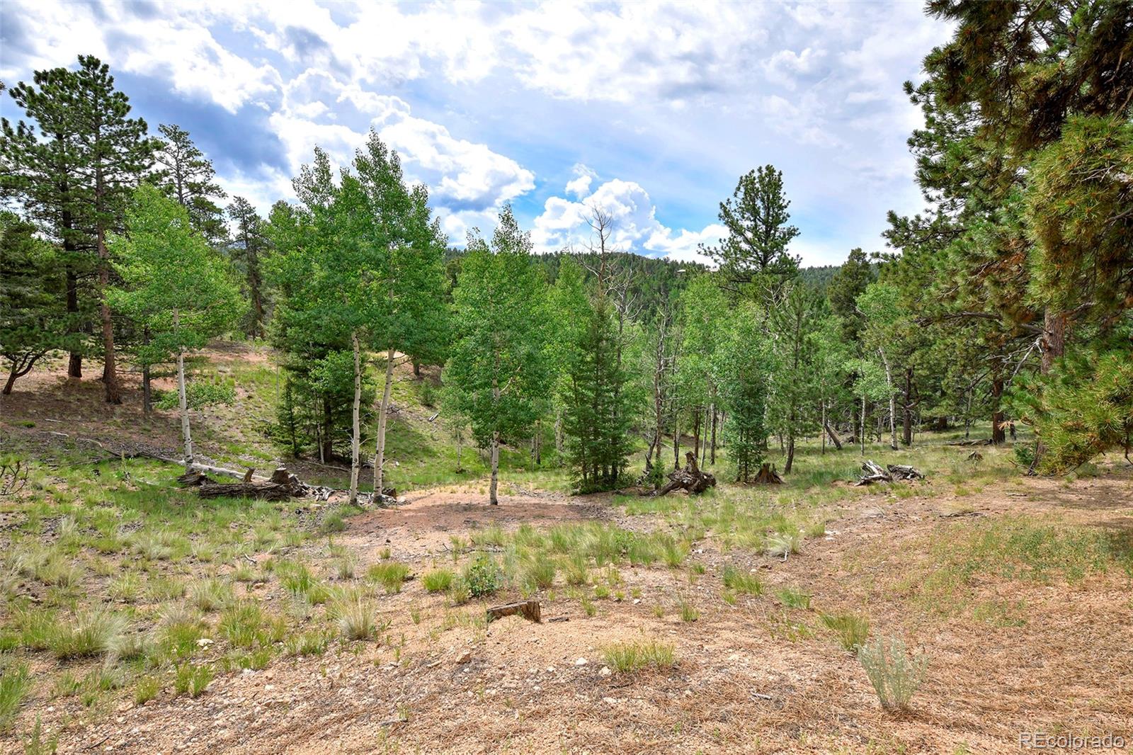 MLS Image #40 for 549  mohawk heights,florissant, Colorado