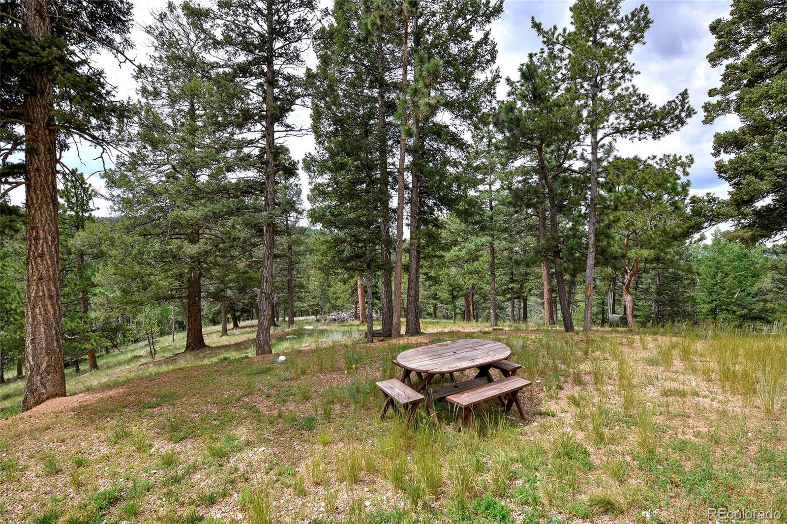 MLS Image #44 for 549  mohawk heights,florissant, Colorado