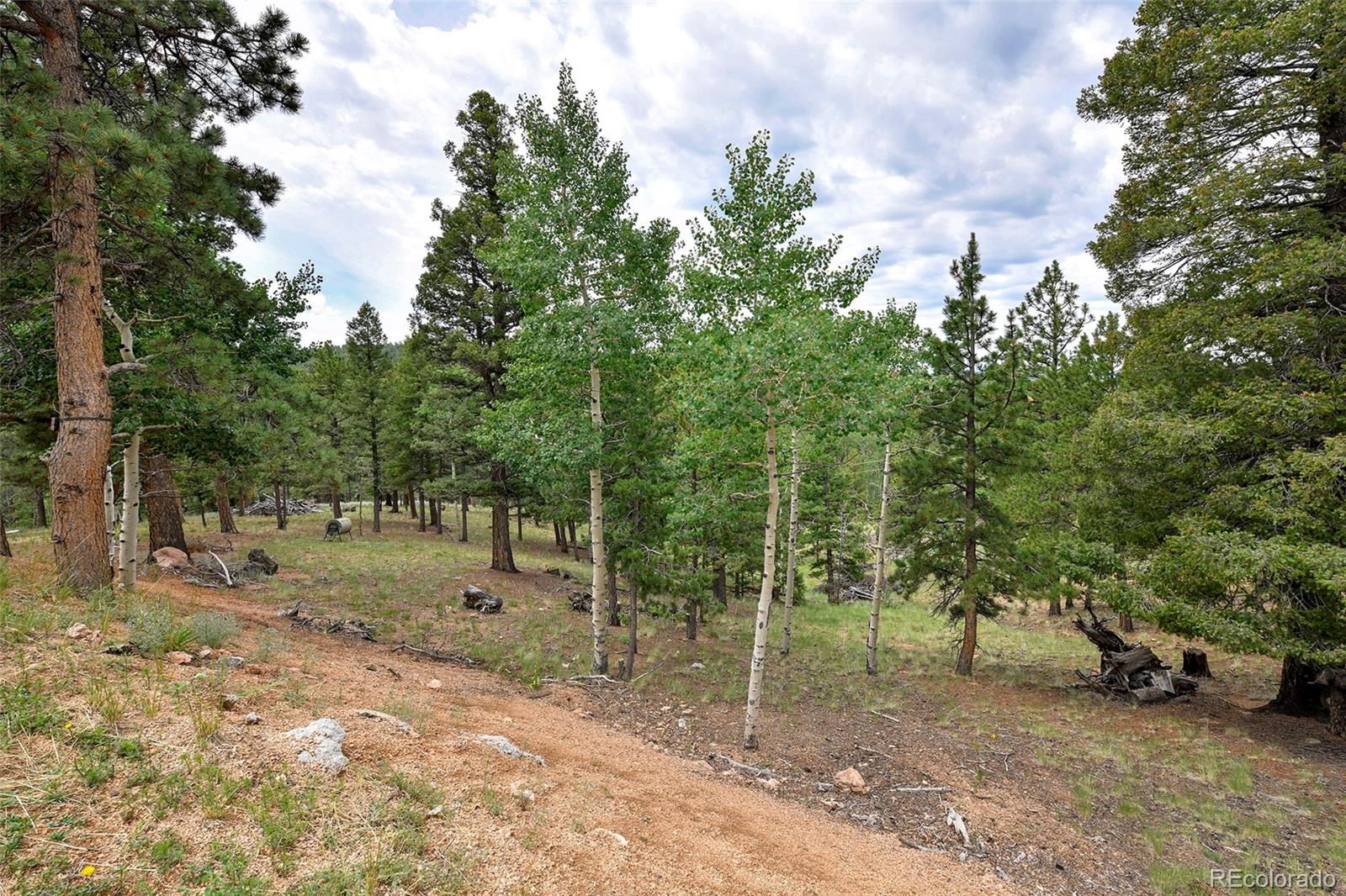 MLS Image #46 for 549  mohawk heights,florissant, Colorado