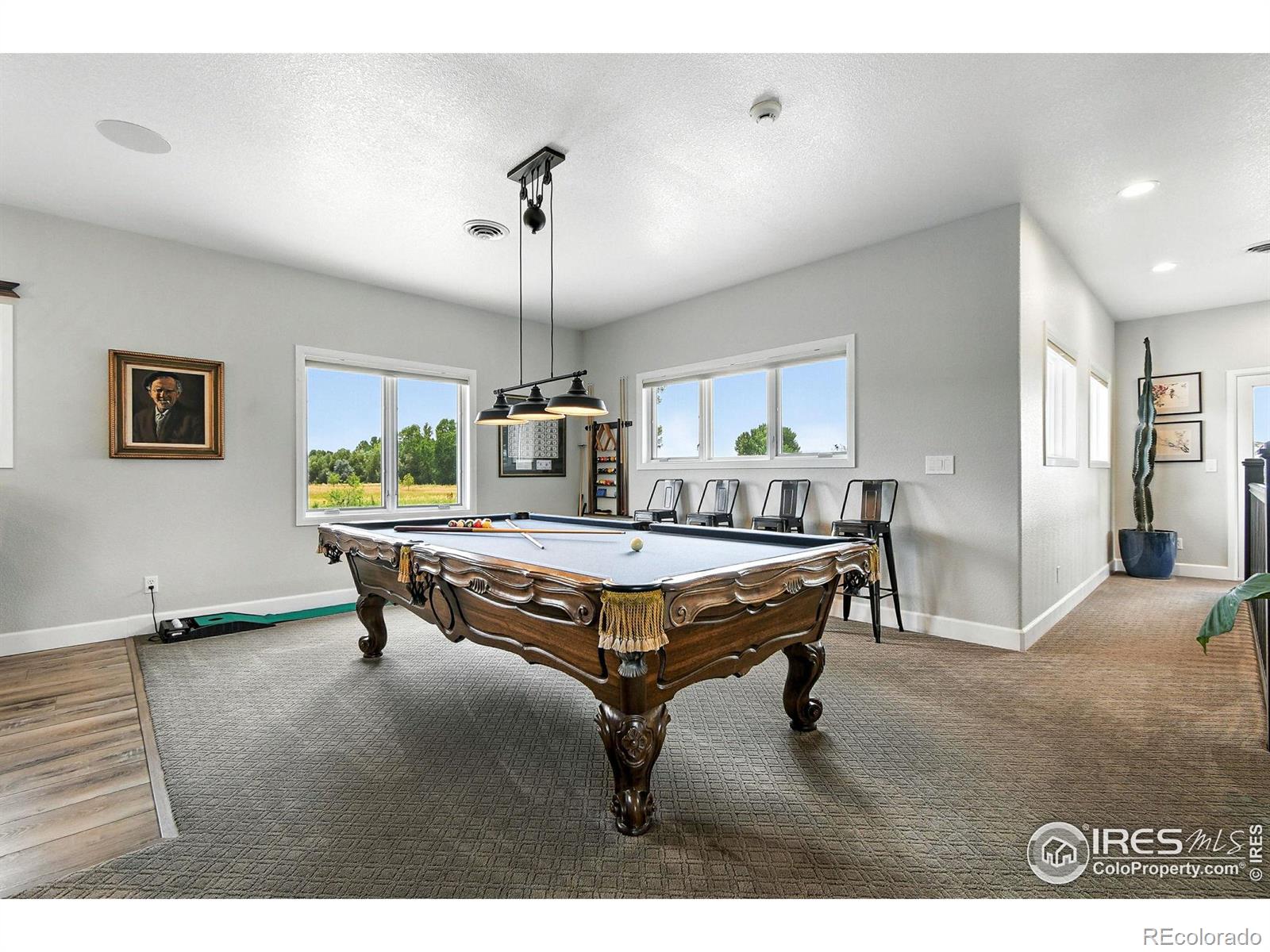 MLS Image #23 for 55  baxter farm lane,erie, Colorado
