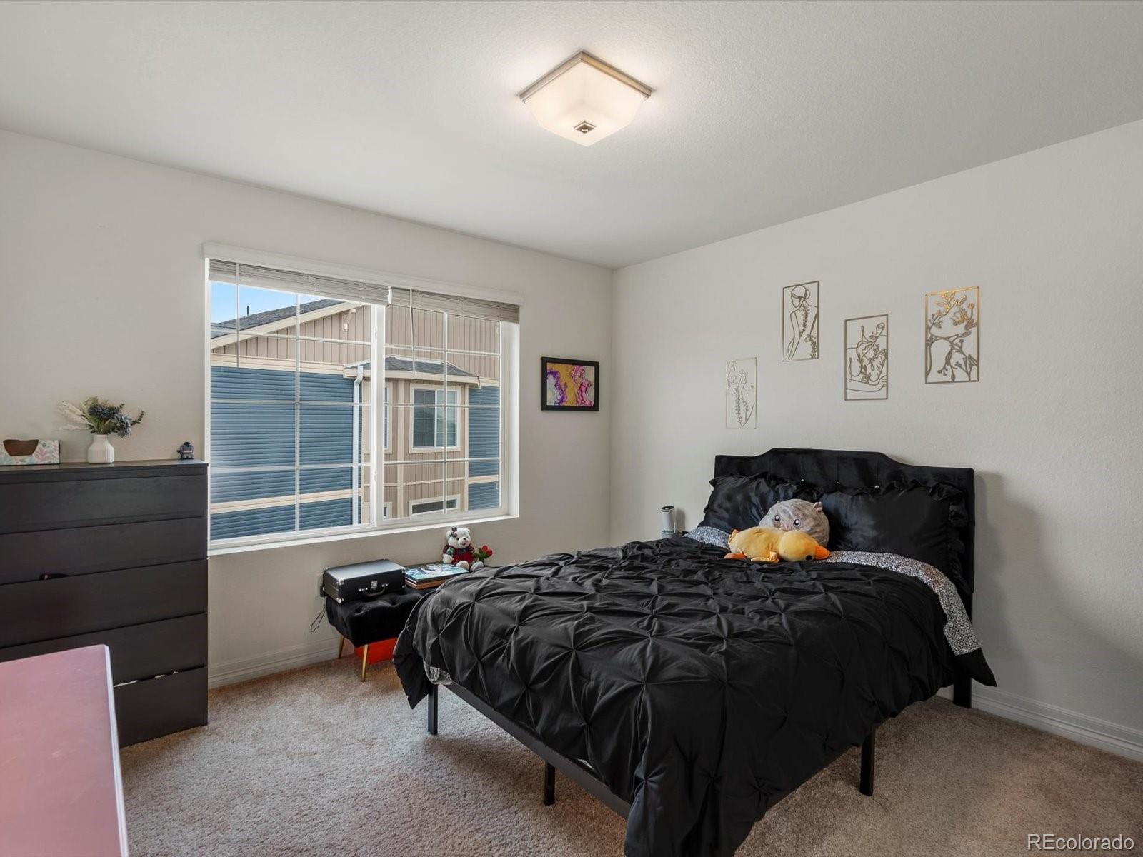 MLS Image #27 for 11033  olathe street,commerce city, Colorado